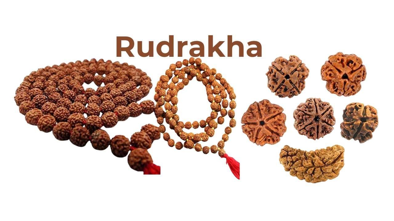Rudraksha significance