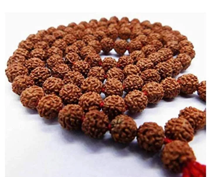 Rudraksha