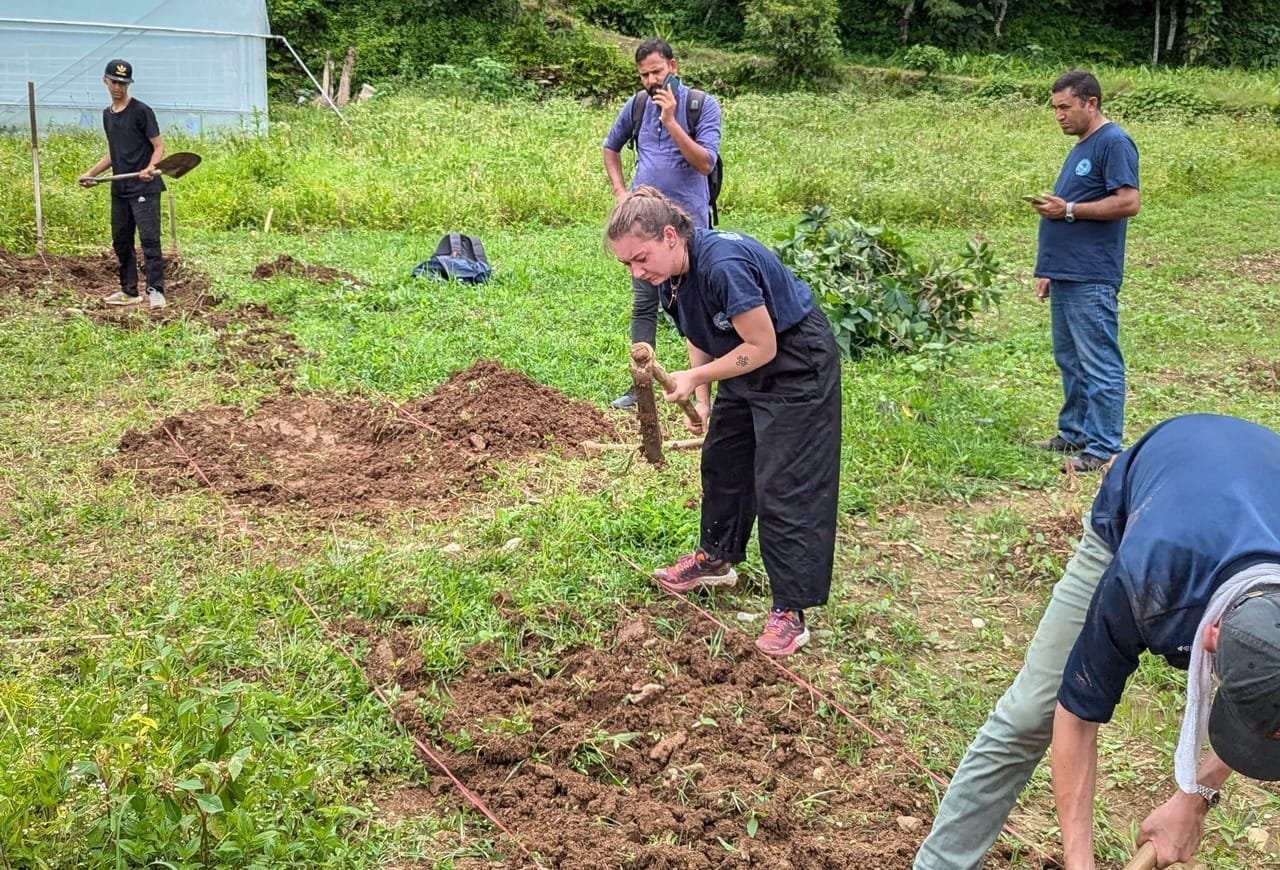 permaculture design